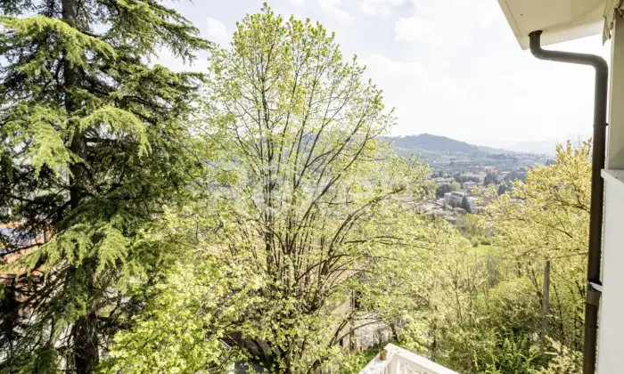 Rexer-BOLOGNA-VILLA-INDIPENDENTE-Altro