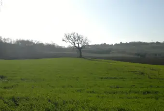 Rexer-Termoli-Terreno-panoramico-con-porzione-di-fabbricato-Terreno