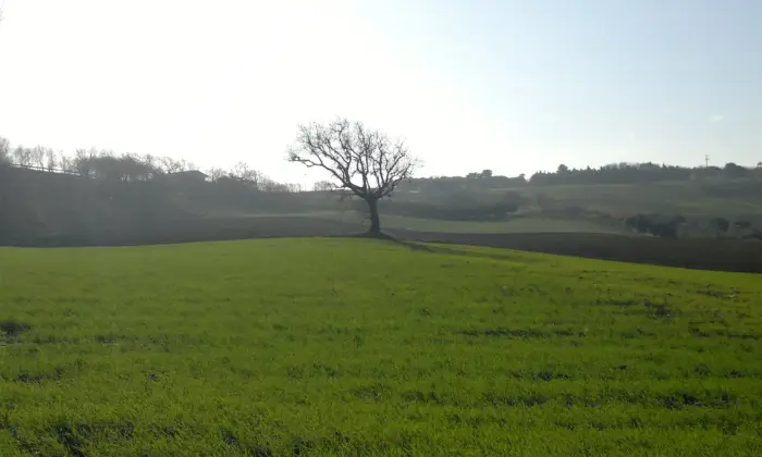 Rexer-Termoli-Terreno-panoramico-con-porzione-di-fabbricato-Terreno
