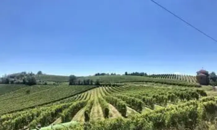 Rexer-Ozzano-Monferrato-Elegante-casale-Depoca-Altro