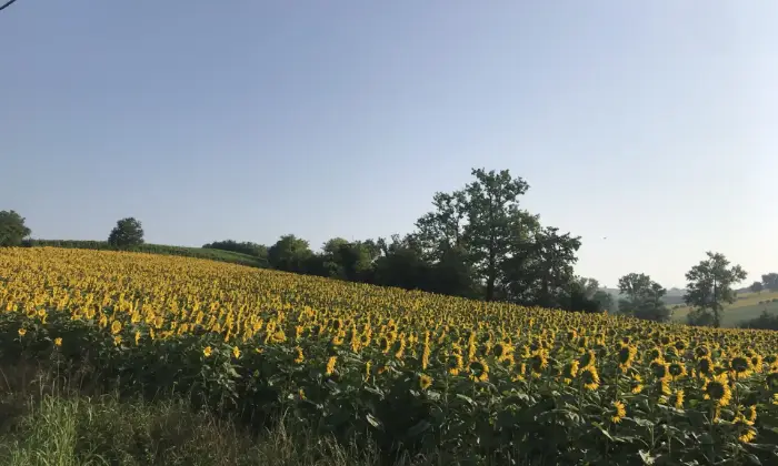 Rexer-Ozzano-Monferrato-Elegante-casale-Depoca-Altro