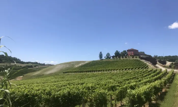 Rexer-Ozzano-Monferrato-Elegante-casale-Depoca-Altro