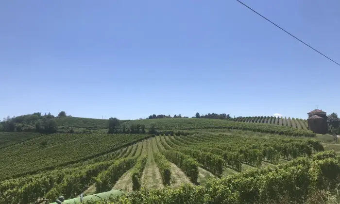 Rexer-Ozzano-Monferrato-Elegante-casale-Depoca-Altro