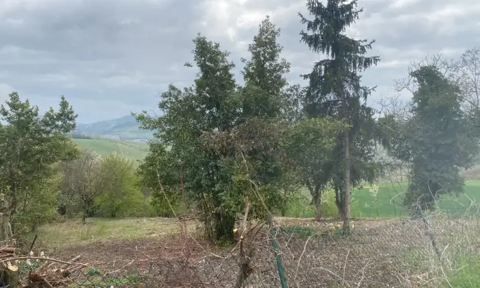 Rexer-Ozzano-Monferrato-Elegante-casale-Depoca-Altro