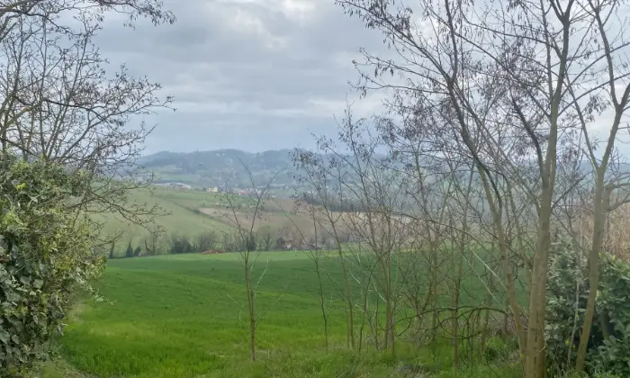Rexer-Ozzano-Monferrato-Elegante-casale-Depoca-Altro