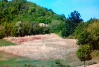 Rexer-Zocca-Propriet-rustica-in-vendita-in-Via-DragodenaZocca-Altro