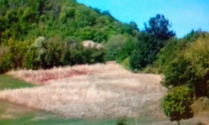 Rexer-Zocca-Propriet-rustica-in-vendita-in-Via-DragodenaZocca-Altro