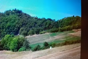Rexer-Zocca-Propriet-rustica-in-vendita-in-Via-DragodenaZocca-Altro
