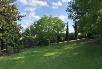 Rexer-Langhirano-Vendesi-Villa-a-Langhirano-Altro