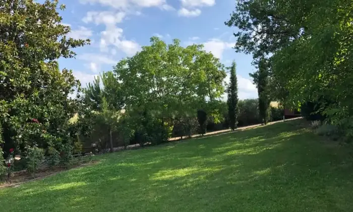 Rexer-Langhirano-Vendesi-Villa-a-Langhirano-Altro
