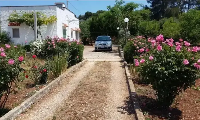 Rexer-Ostuni-Vendesi-Caratteristica-Lamia-rurale-in-pietra-a-Ostuni-Altro