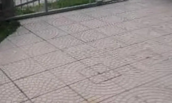 Rexer-Mesola-Vendesi-appartamento-a-Mesola-Altro