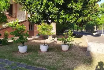Rexer-Piove-di-Sacco-Vendesi-Casa-indipendente-a-Piove-di-Sacco-Altro
