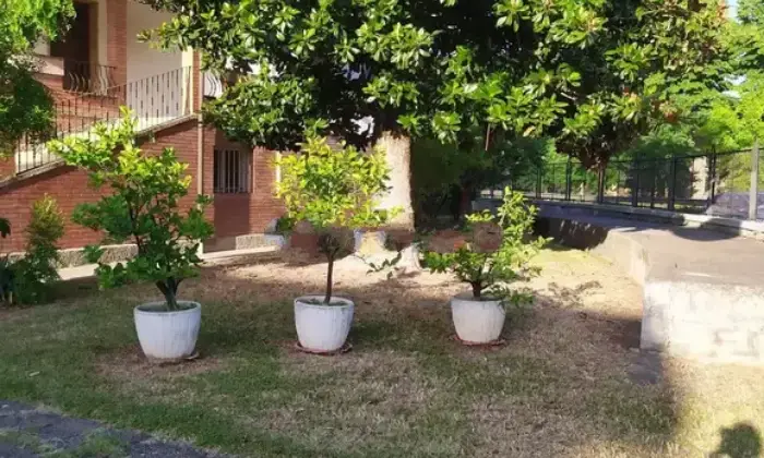 Rexer-Piove-di-Sacco-Vendesi-Casa-indipendente-a-Piove-di-Sacco-Altro