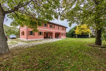 Rexer-Vigodarzere-GRANDE-CASALE-RISTRUTTURATO-Giardino