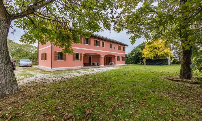 Rexer-Vigodarzere-GRANDE-CASALE-RISTRUTTURATO-Giardino