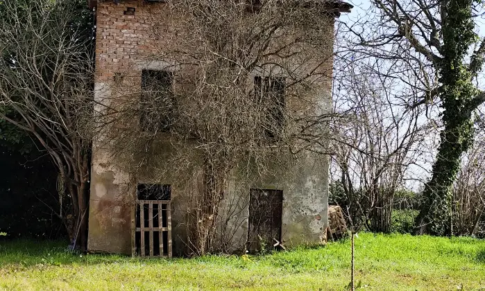 Rexer-Vigodarzere-GRANDE-CASALE-RISTRUTTURATO-Giardino