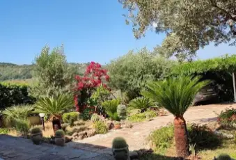Rexer-Giungano-SA-Vendesi-una-splendida-villa-singola-situata-nel-comune-di-Giungano-Altro