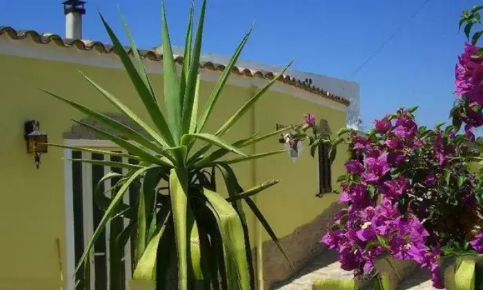 Rexer-Piscinas-Vendesi-casa-semiindipendente-a-Piscinas-SU-Altro