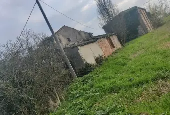 Rexer-Bondeno-Vendesi-RusticoCasale-a-Bondeno-FE-Via-per-Burana-Altro