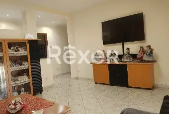 Rexer-Cerano-Ampio-appartamento-al-piano-terra-con-box-doppio-e-cantina-a-Cerano-NO-Altro