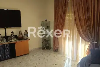 Rexer-Cerano-Ampio-appartamento-al-piano-terra-con-box-doppio-e-cantina-a-Cerano-NO-Altro