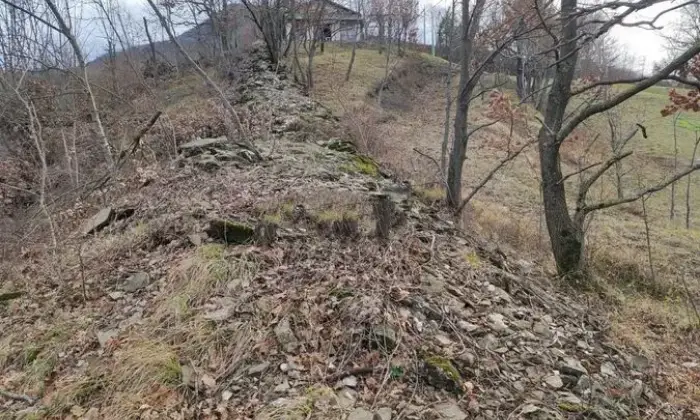 Rexer-Varsi-Vendesi-monolocale-immersa-tra-prati-e-boschi-a-Varsi-Altro