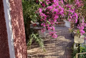 Rexer-Golfo-Aranci-Vendesi-villa-situata-a-soli-metri-dal-mare-a-Golfo-Aranci-SS-Altro