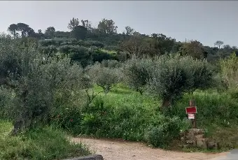 Rexer-CalatafimiSegesta-Vendesi-Casa-indipendente-con-MQ-di-Terreno-a-CalatafimiSegesta-TP-Altro