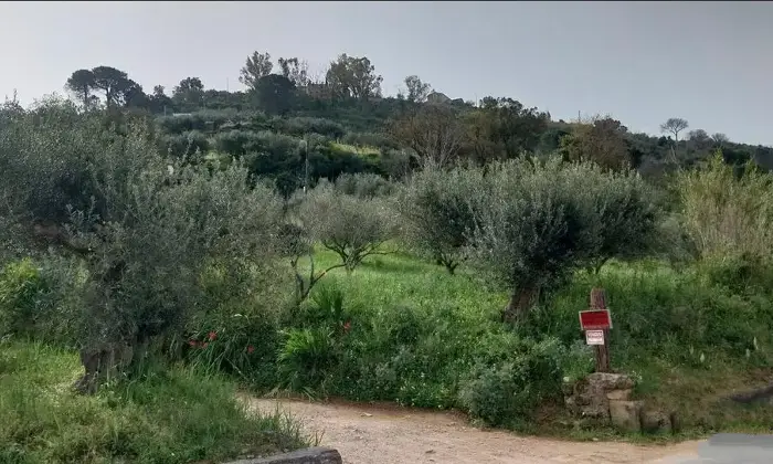 Rexer-CalatafimiSegesta-Vendesi-Casa-indipendente-con-MQ-di-Terreno-a-CalatafimiSegesta-TP-Altro