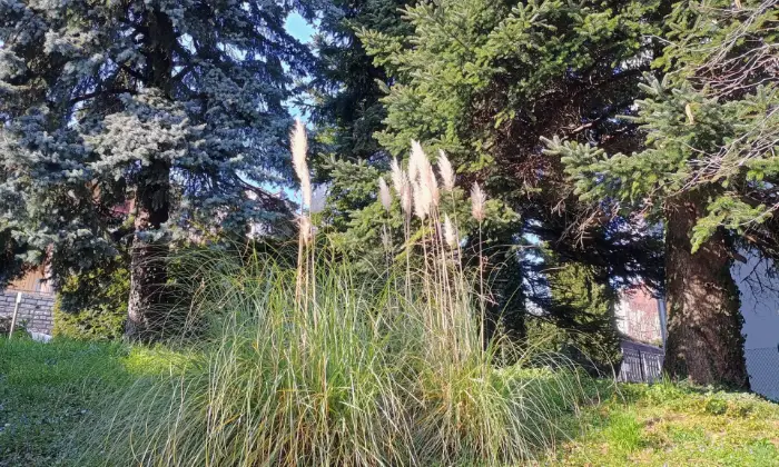 Rexer-Brunate-Villa-singola-con-grande-giardino-e-panorama-mozzafiato-Altro