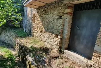 Rexer-Montalto-Uffugo-Casa-indipendente-con-giardino-Giardino