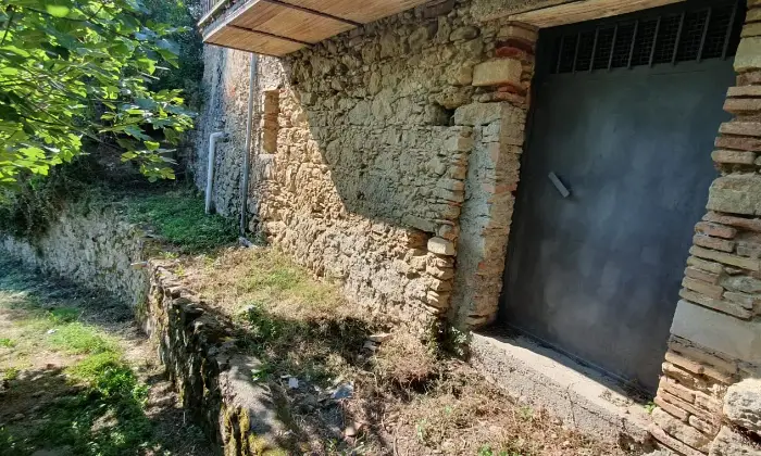 Rexer-Montalto-Uffugo-Casa-indipendente-con-giardino-Giardino