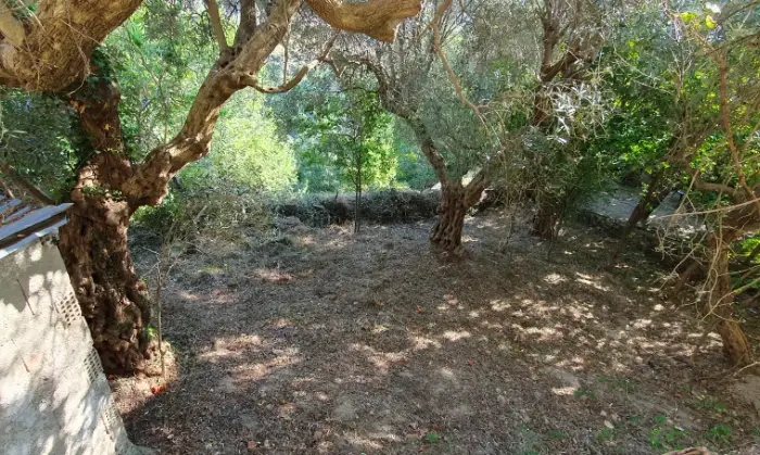 Rexer-Montalto-Uffugo-Casa-indipendente-con-giardino-Giardino