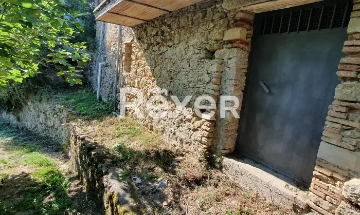 Rexer-Montalto-Uffugo-Casa-indipendente-con-giardino-Giardino