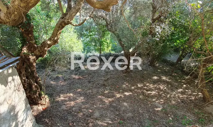 Rexer-Montalto-Uffugo-Casa-indipendente-con-giardino-Terrazzo