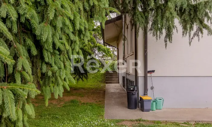 Rexer-Pojana-Maggiore-Villa-su-piani-con-ampio-terreno-garage-e-magazzino-Altro