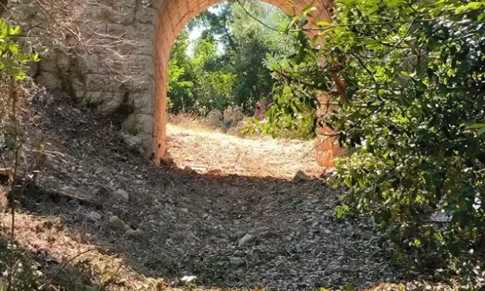 Rexer-Putignano-Trullo-con-Terreno-a-Putignano-BA-composto-da-coni-Altro