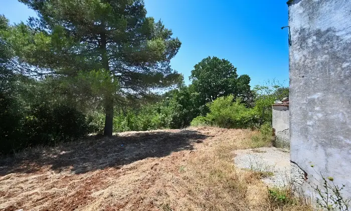 Rexer-Putignano-Trullo-con-Terreno-a-Putignano-BA-composto-da-coni-Altro