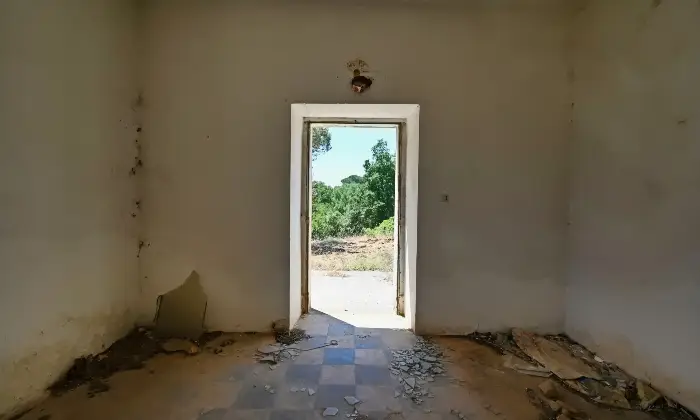 Rexer-Putignano-Trullo-con-Terreno-a-Putignano-BA-composto-da-coni-Altro