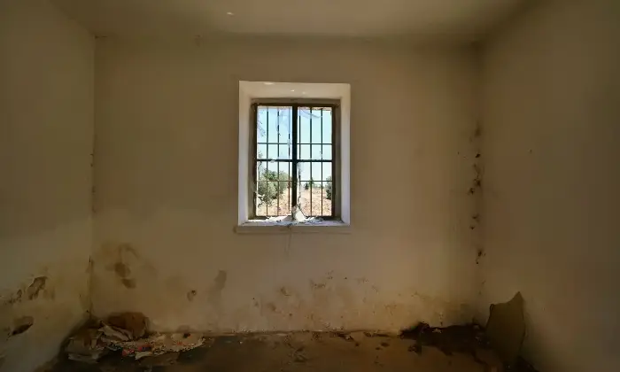 Rexer-Putignano-Trullo-con-Terreno-a-Putignano-BA-composto-da-coni-Altro