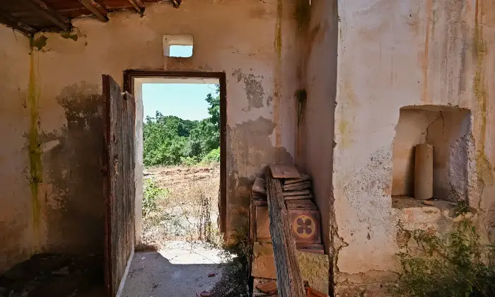 Rexer-Putignano-Trullo-con-Terreno-a-Putignano-BA-composto-da-coni-Altro