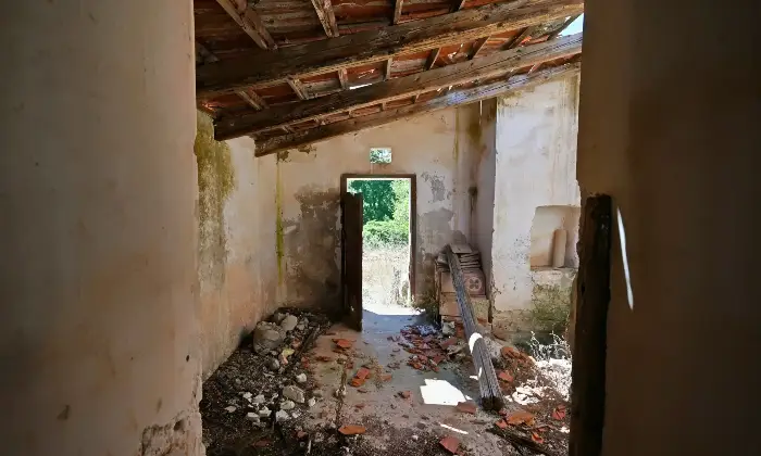 Rexer-Putignano-Trullo-con-Terreno-a-Putignano-BA-composto-da-coni-Altro