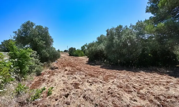 Rexer-Putignano-Trullo-con-Terreno-a-Putignano-BA-composto-da-coni-Altro