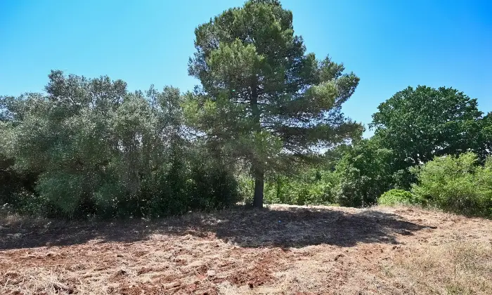 Rexer-Putignano-Trullo-con-Terreno-a-Putignano-BA-composto-da-coni-Altro