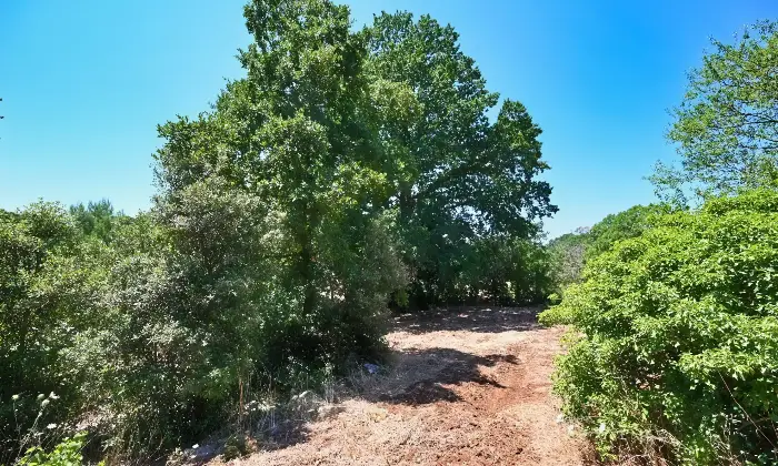Rexer-Putignano-Trullo-con-Terreno-a-Putignano-BA-composto-da-coni-Altro