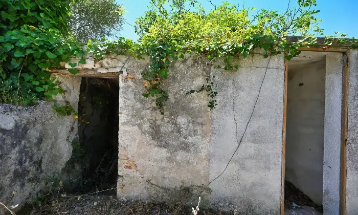 Rexer-Putignano-Trullo-con-Terreno-a-Putignano-BA-composto-da-coni-Altro