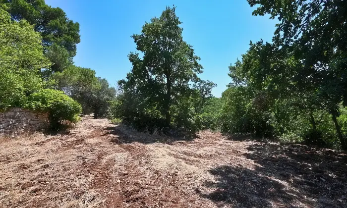 Rexer-Putignano-Trullo-con-Terreno-a-Putignano-BA-composto-da-coni-Altro