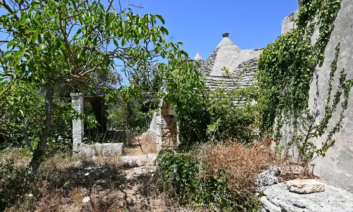 Rexer-Putignano-Trullo-con-Terreno-a-Putignano-BA-composto-da-coni-Altro