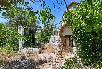 Rexer-Putignano-Trullo-con-Terreno-a-Putignano-BA-composto-da-coni-Altro
